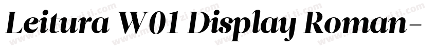 Leitura W01 Display Roman字体转换